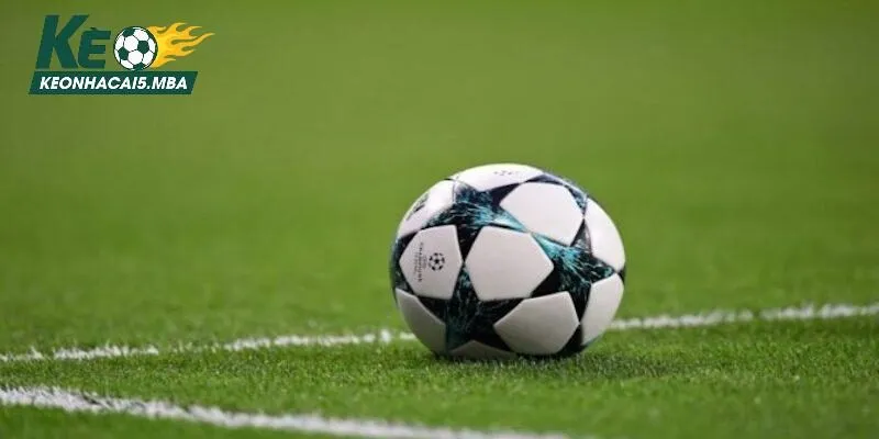 Kèo rung - Chia sẻ những cách đặt cược hiệu quả từ cao thủ