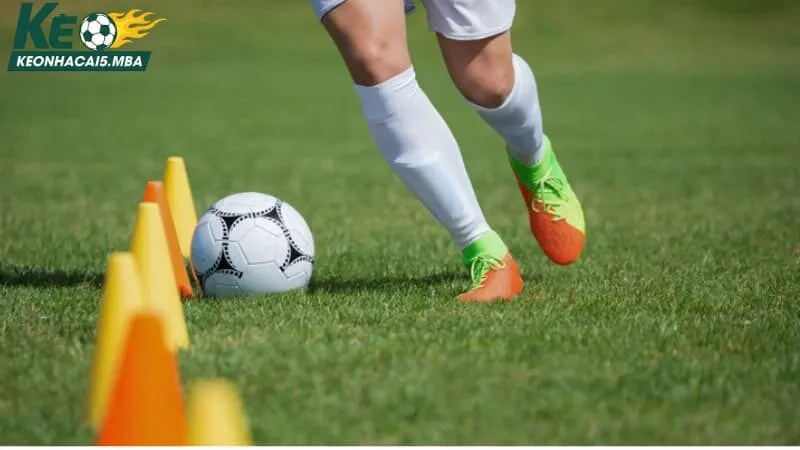 Tổng quan chi tiết về lịch thi đấu thể thao bóng đá