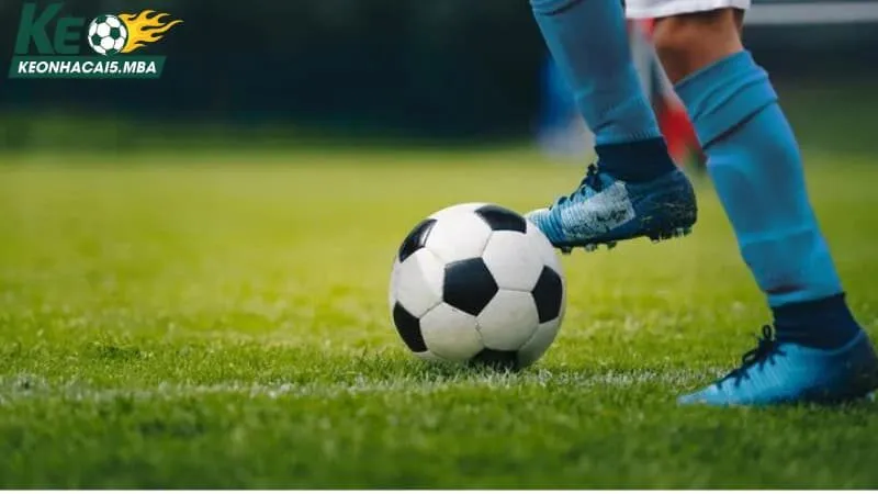 Khái quát nội dung trong mục lịch thi đấu