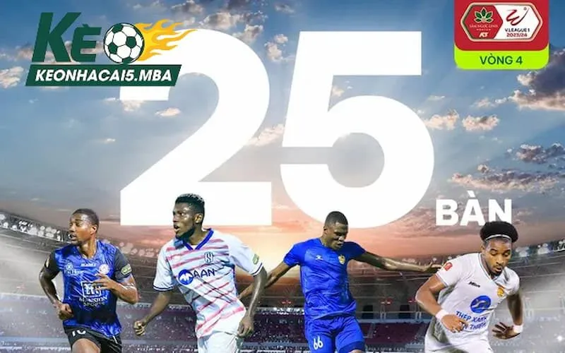 Thông tin chung về mùa giải V-League