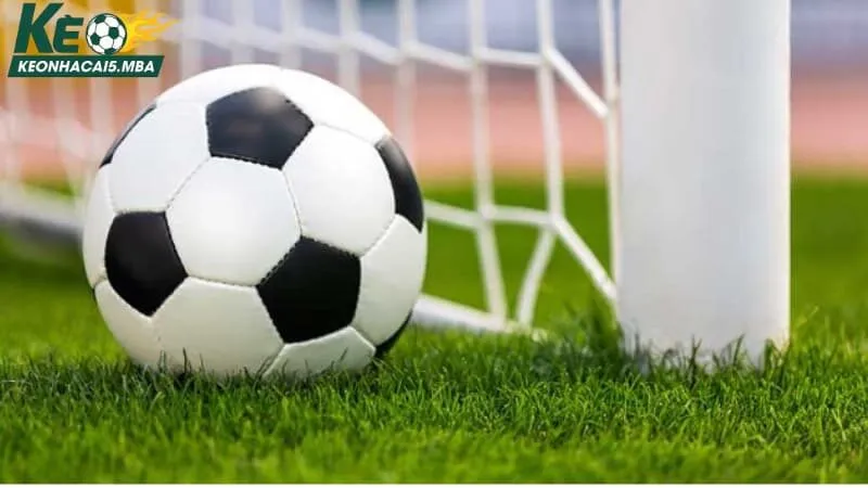 Chia sẻ dấu hiệu nhận biết cách ứng dụng